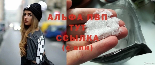 гашик Мегион
