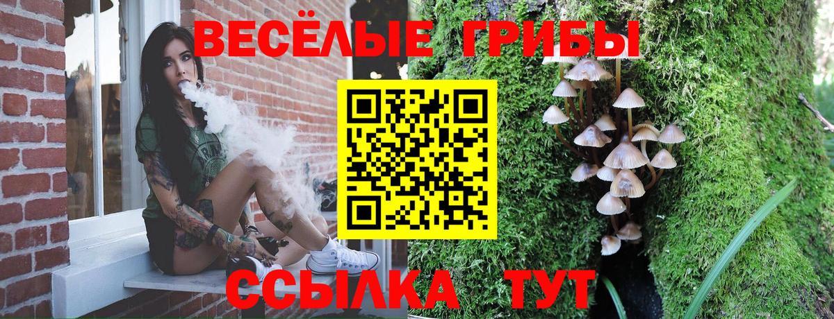 Галлюциногенные грибы прущие грибы  Вход с VPN  Усть-Кут 