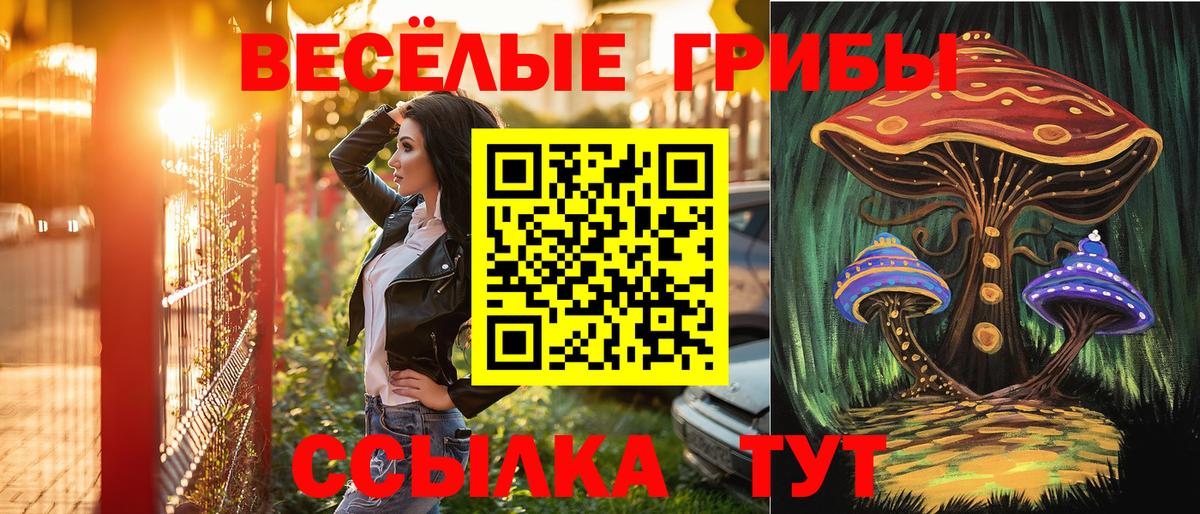 Галлюциногенные грибы прущие грибы  Усть-Кут 